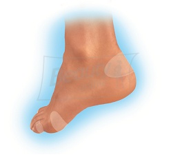 Gehwol Загоюючий пластир 6 шт (3 розміри по 2 шт)