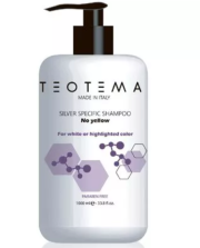 Teotema Шампунь тонирующий Серебряный 1000 мл