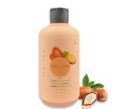 Teotema Шампунь Восстанавливающий 